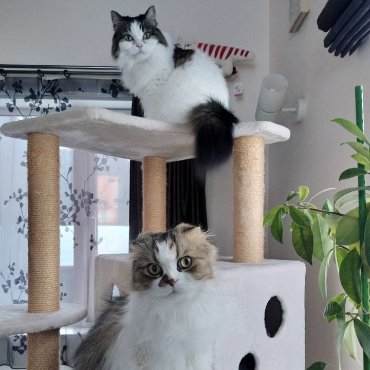 C283e0d9 9e96 48ec bb16 84e5336a4dda 1769987717567