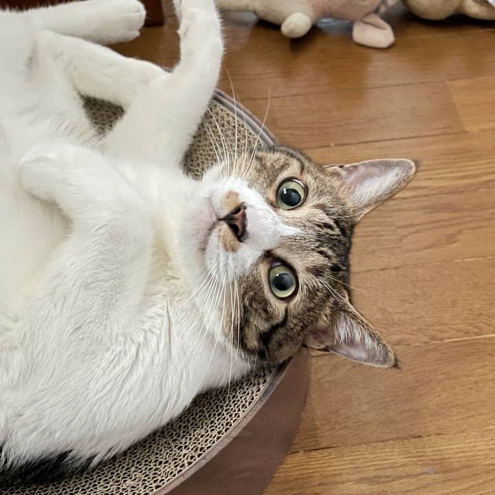 C283e525 7ad1 464b 87a5 a3d4767f93fa 1693954871321