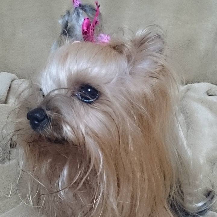 C28403fb 8c78 46c4 9080 12ce3ae916b3 1704098242896