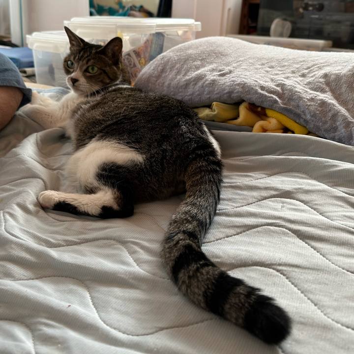 C2842063 f7ac 4945 8979 4f83a8ca62a5 1664157616221