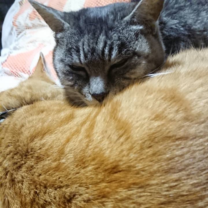 C2844367 86a2 47d1 8b10 dbdae1d9c751 1574252521706