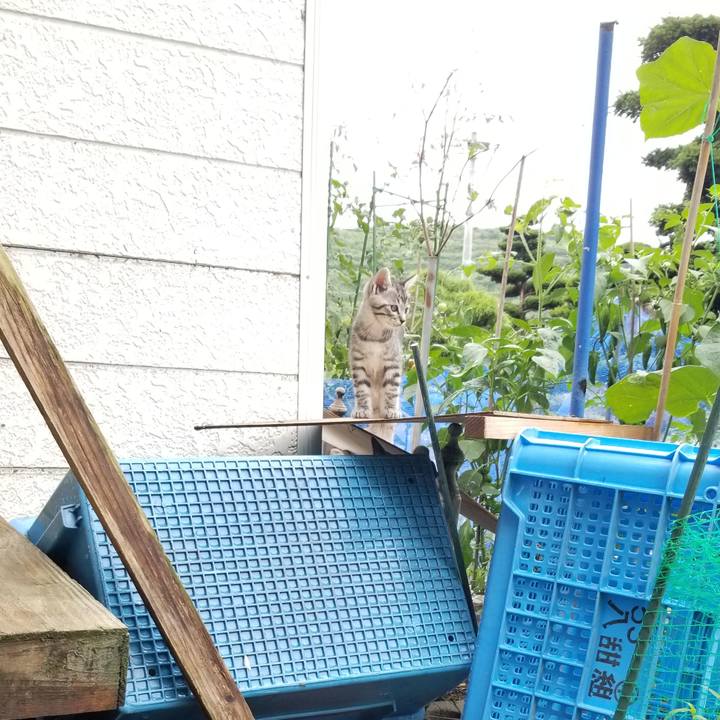 C2844928 6f05 40bb b4fa 5292f730a018 1691389339972