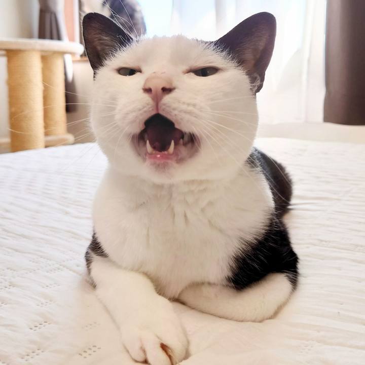 C284a530 cef3 4556 bf39 e4e309715aa6 1632363235783