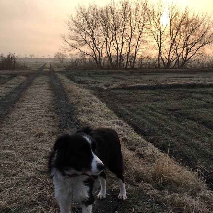 C284b2d6 fe44 4d74 a928 5345dd036a2c 1516403407219