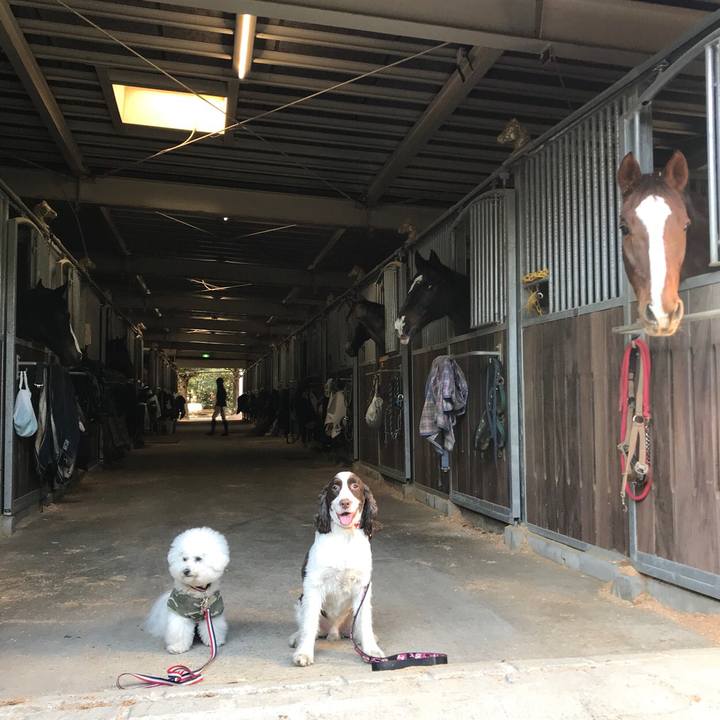 C284c65e 31bc 4c67 8862 dc0618e7abc5 1514171305796