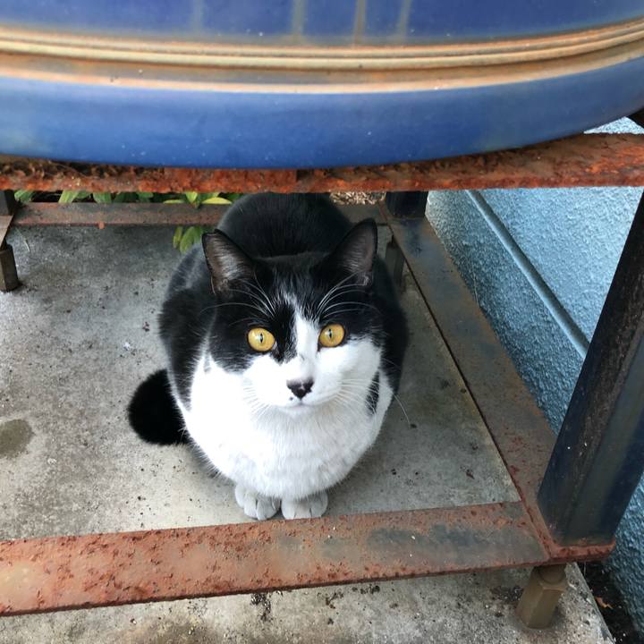 C284c90b be7b 4b09 bb46 c1ffd1eab33c 1643899519562