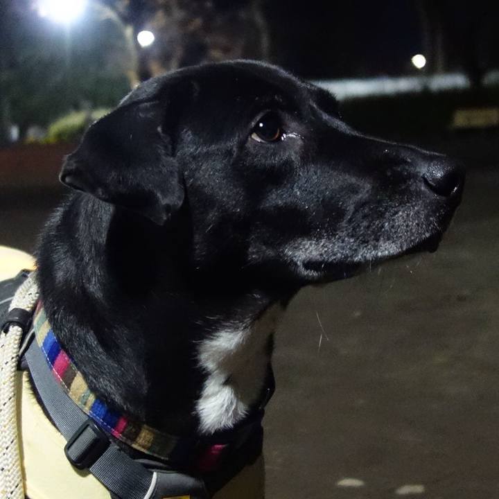 C284d897 a3cd 46e5 aa6b d8d92c8e51f9 1642071745482