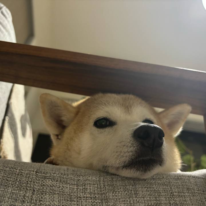 C285188b 8a41 4c57 a8d7 b176aa175eda 1731967192212