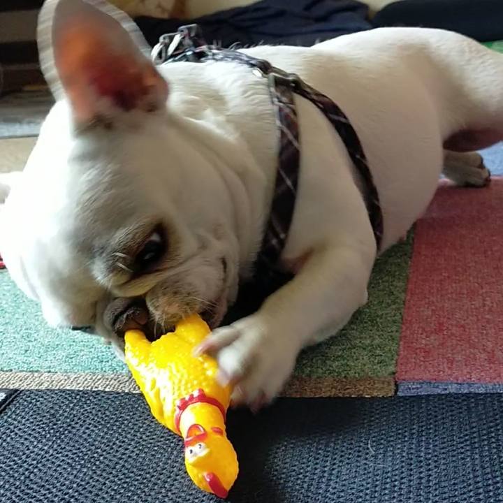 C285c576 2c27 41eb bc28 a1ee82d88276 1650586114415