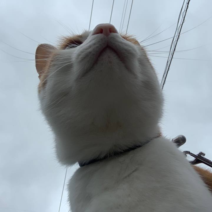 C285caa3 8f7b 45c8 8521 c4fd8f3ef7b3 1593825888140