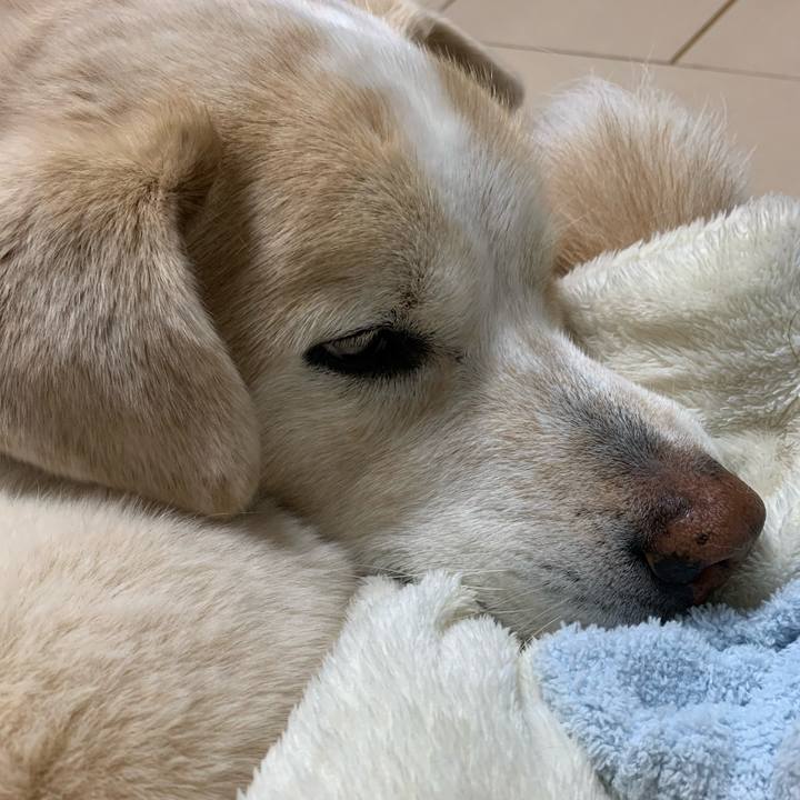 C285cda2 74f2 4258 8d40 ac5ea1c32d89 1642677878920