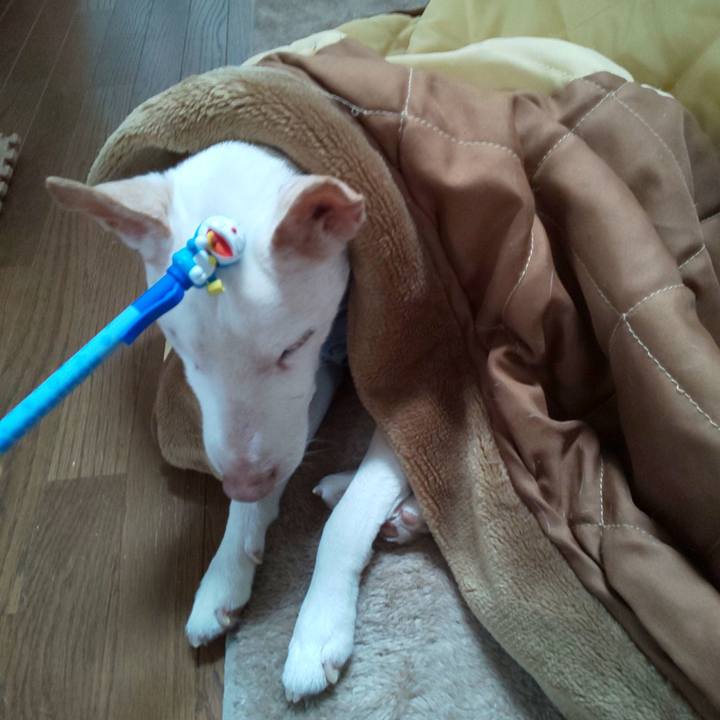 C285d203 54ca 43fc ade4 aaa8d1e0babd 1548654565063