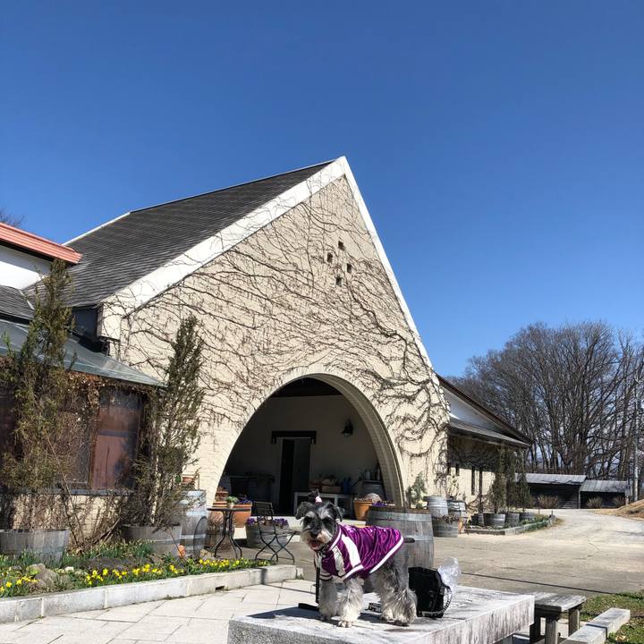 C285fa62 a226 497a a2ce 922649390ceb 1648906425098