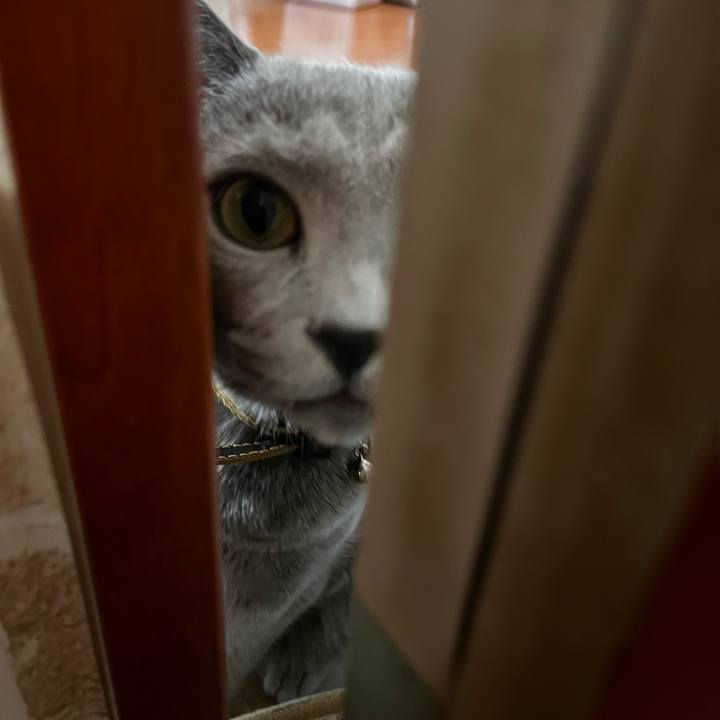 C2860e5f ab6a 4256 9233 b2510a362cb1 1693750892570