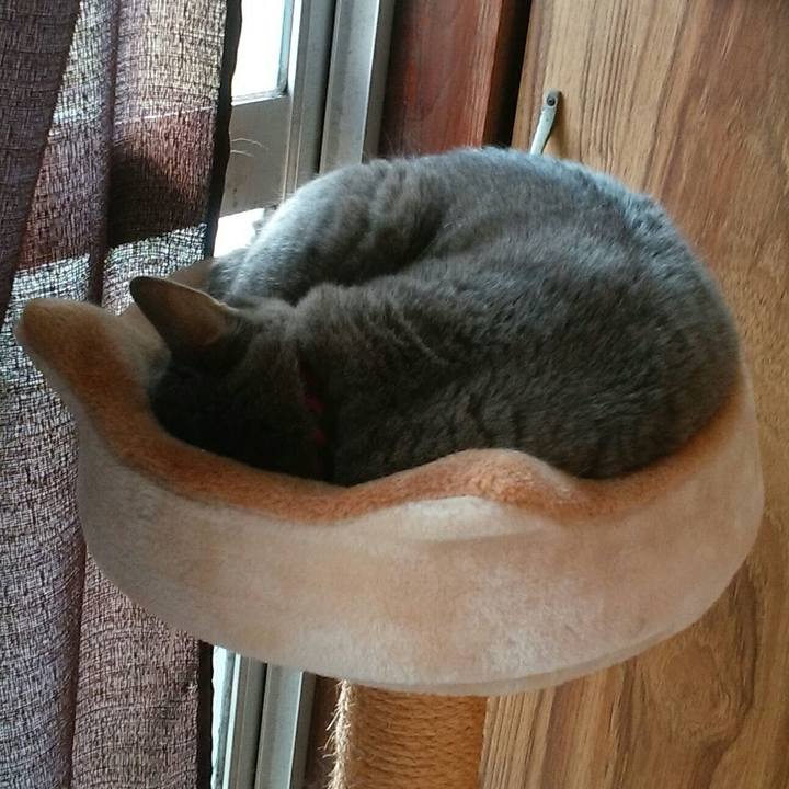 C286181a 07b0 45c5 8621 f53656b4155f 1542517721664