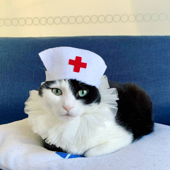 C2864048 b93c 4cd1 9191 91406400bb19 1641649569737