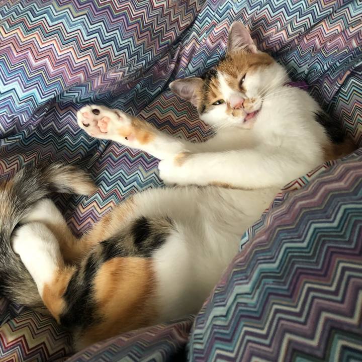 C2866cd7 3c67 45e3 a418 8db9fc0dd9c3 1601186315075