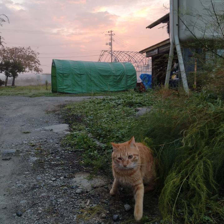 C2868a53 61dc 4d4d a146 89720652ff2a 1665959134994