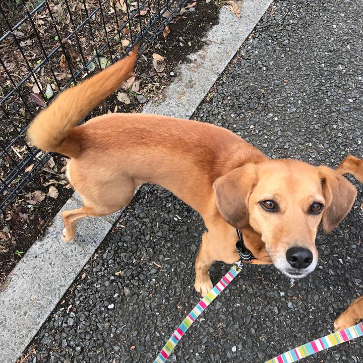 C286e976 08ce 42ba 9502 f24491dd5ed8 1539567820983