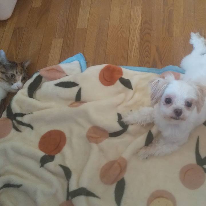 C286efee d9db 40ff 83b6 c3526fc235d9 1751258895377