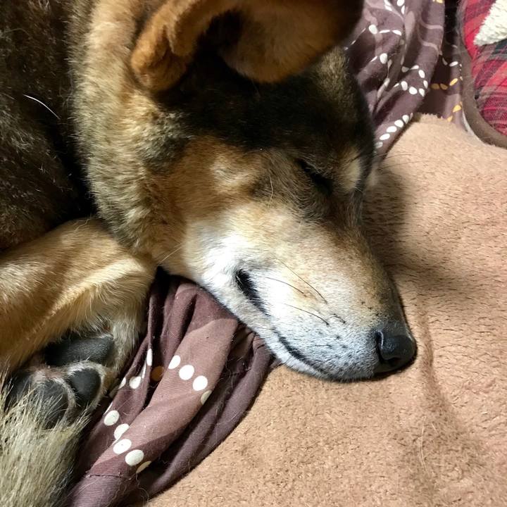 C286f952 9ec9 41b1 a398 91622e200536 1517842051799