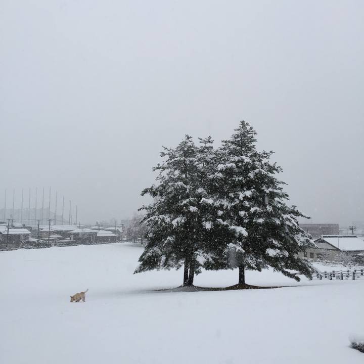 C2870143 162f 4bb4 a5a3 be5e10e72a3a 1512512516053