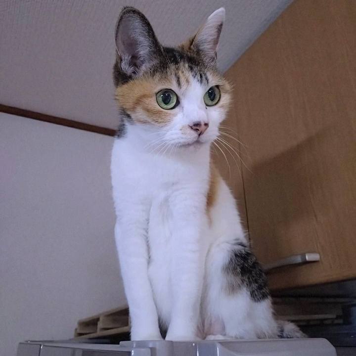 C287c7f3 f7b9 40d4 9cee 65733ccbbf26 1758632818394