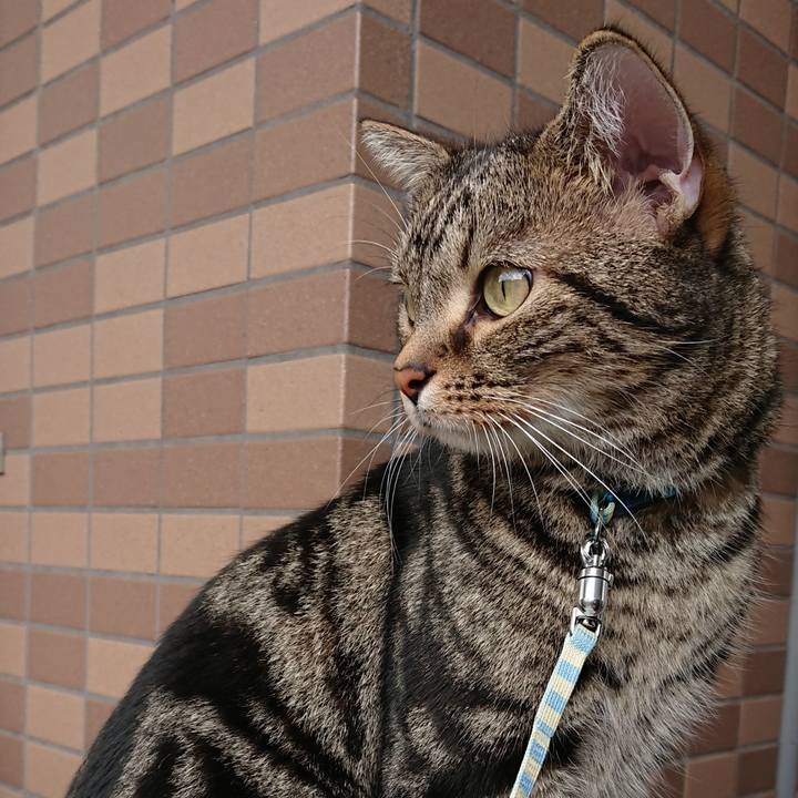 C287f436 2dbf 4a37 95db 6ba6c6c4ef62 1536627598939