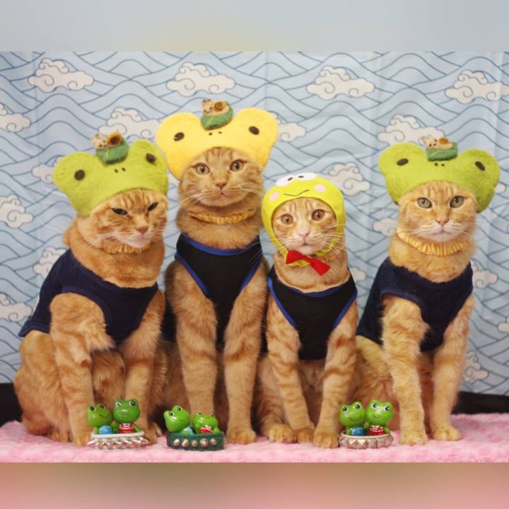 C287f5ab c8d6 46fd a02e 61b0f1568166 1686318082617