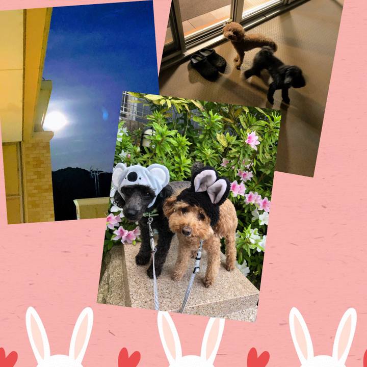 C287f6f7 b2c0 4b0e 8118 6b7d5c5fc72b 1588848875518