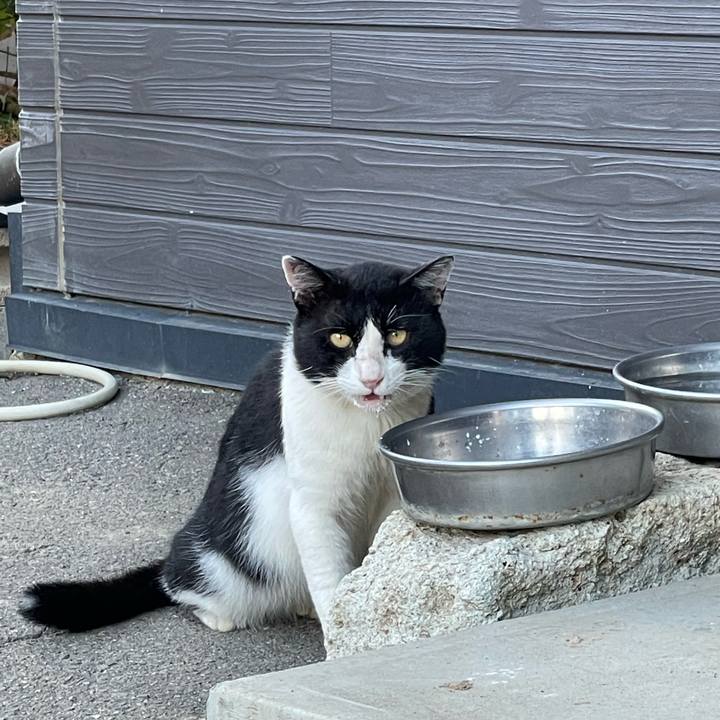 C2881cdc f6fe 4c2a 91b2 a190c6206177 1690066652643