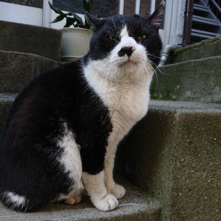 C28840ea 3374 4b9a 822c 164770f92816 1680564417926