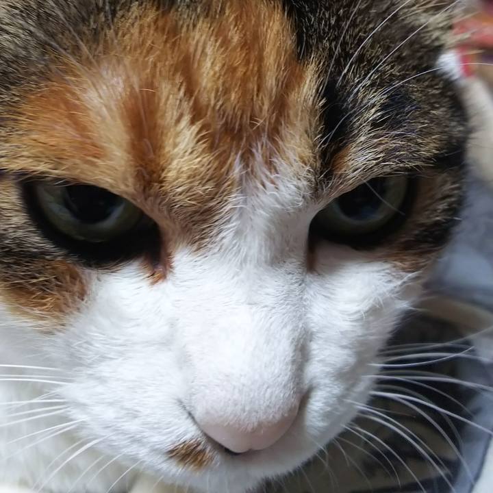 C2889b57 1d01 4352 a4ac d258224ba7ba 1565389274097