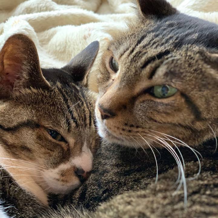 C288bc27 aa2a 4e42 bef1 5309015cf624 1552091869835