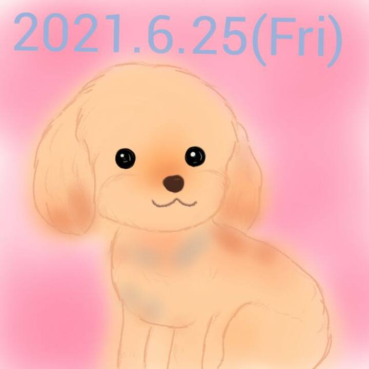 C288d691 1d0b 467a 8ecd 7c09e6eb9236 1624617959635