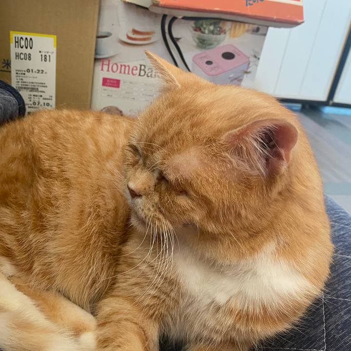 C288dba6 4f74 4641 9f3c 973d694b5108 1643428951523