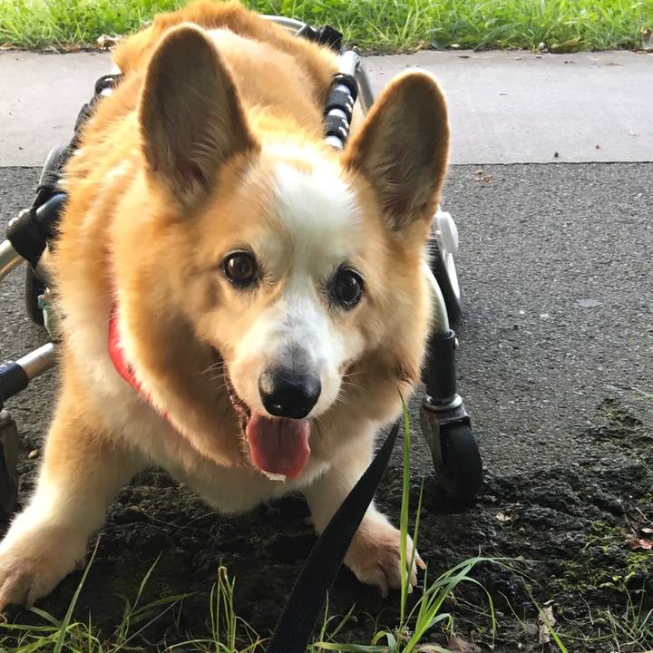 C288f62a 57d6 4ddd a642 3821d86f5c3c 1564753726553