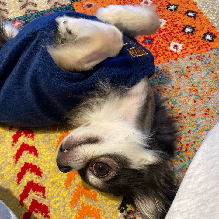 C288f984 9bb0 4849 998d 4fbce38cf72c 1711899972180