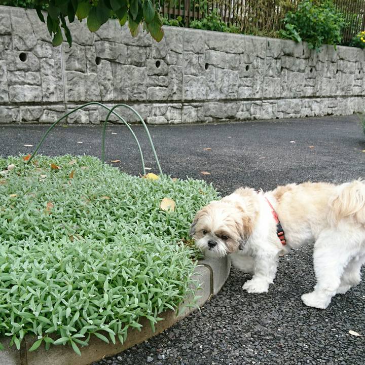 C289486e 57c2 4940 9140 71886675a55d 1538278534499