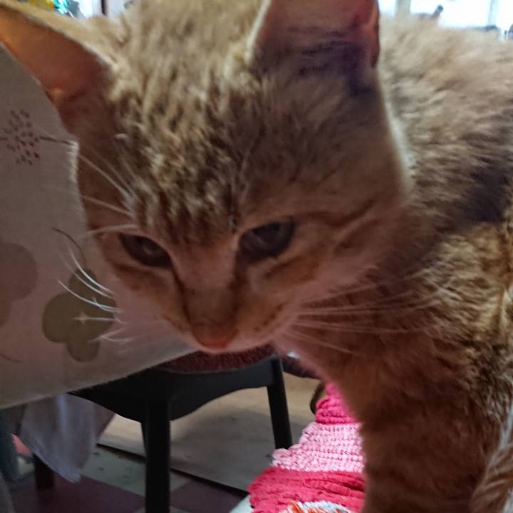 C2895509 82b5 433a 80bb 974db69d9793 1555016267951