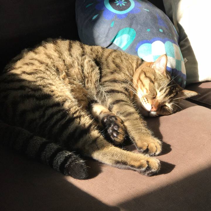 C28967b7 e6dc 4f5a 82b6 67b502d9cc90 1512539716167