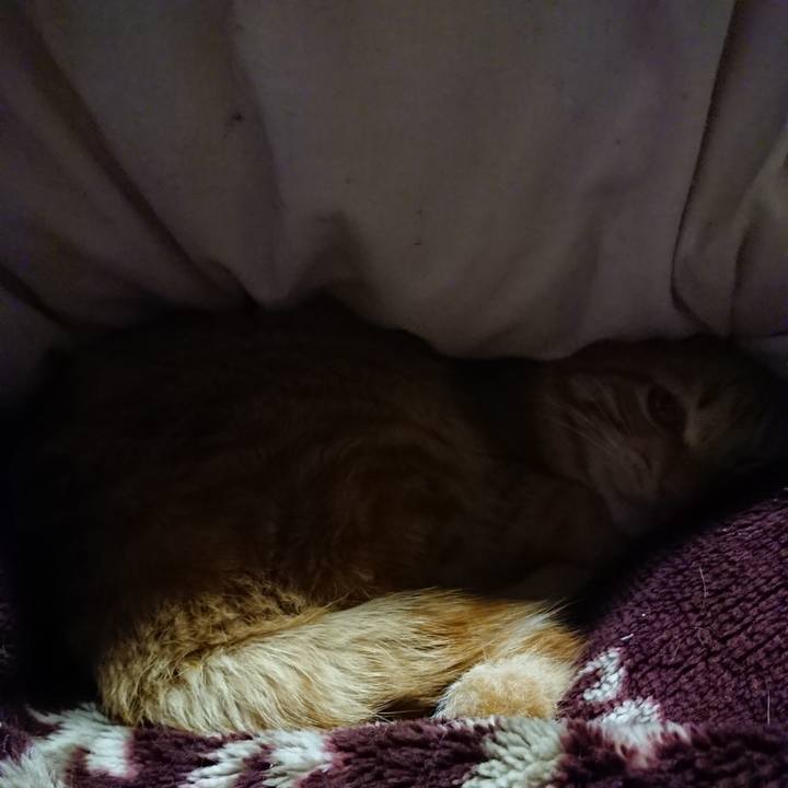 C289b134 f1f4 443d 833f d6624889cfe5 1645620076611