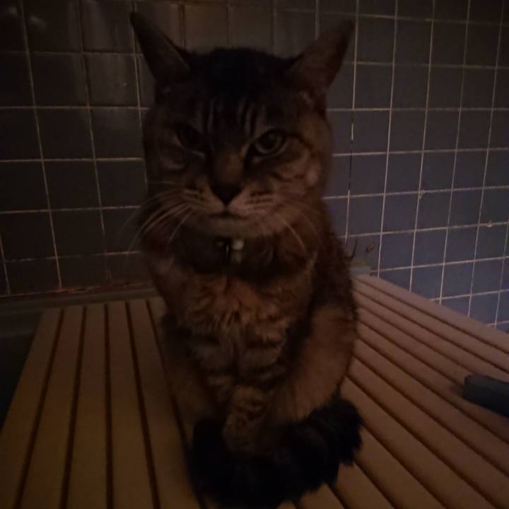 C289dcfd b49e 401a 81aa e47b924a1ad5 1570612719578