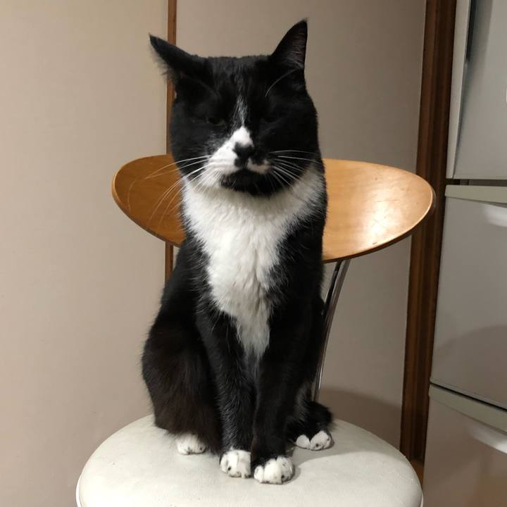 C28a01d6 e10f 41c2 bb59 daabb49dad49 1651452411077