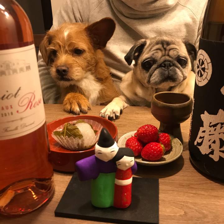 C28a106c ef34 4887 b640 909ac053d6b0 1583225467186