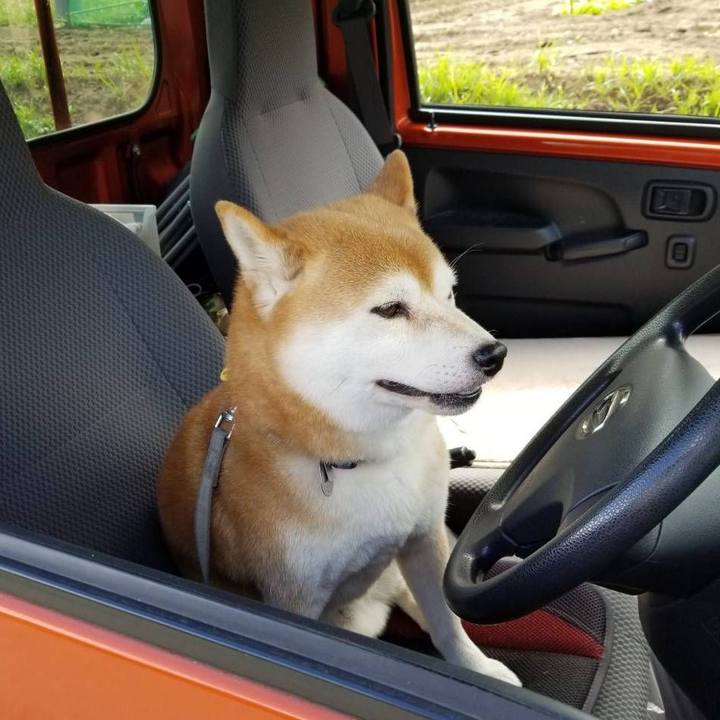 C28a2889 4acb 4e34 89d8 e4513fececb2 1569288042535