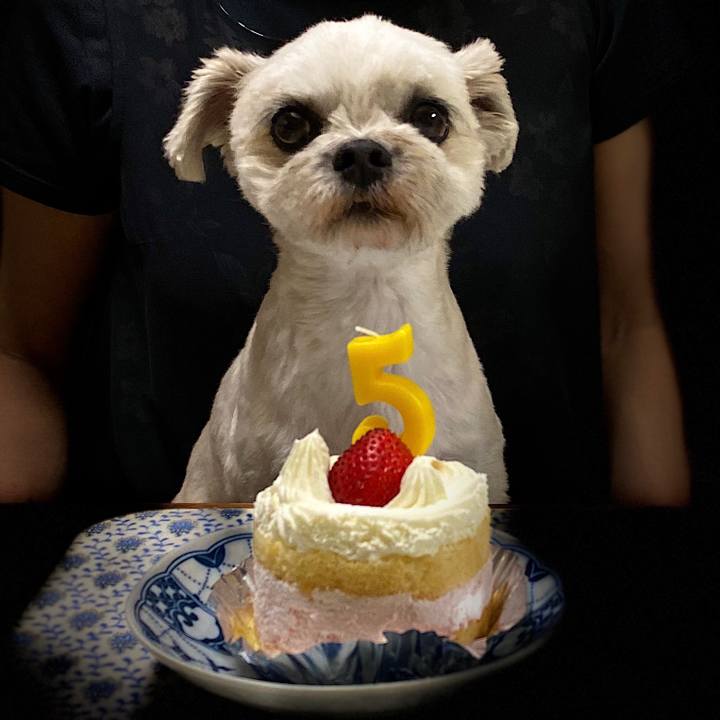 C28a3679 219a 4617 95d1 73bd24c9f964 1596107235132