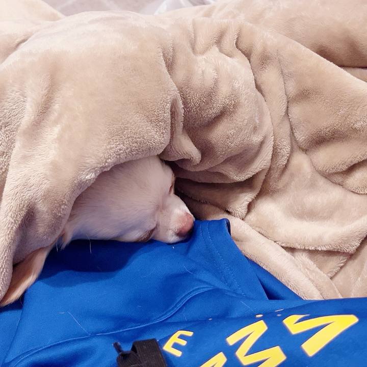 C28b0e85 7d7a 4138 8817 bcd5aa9bc881 1732623687247