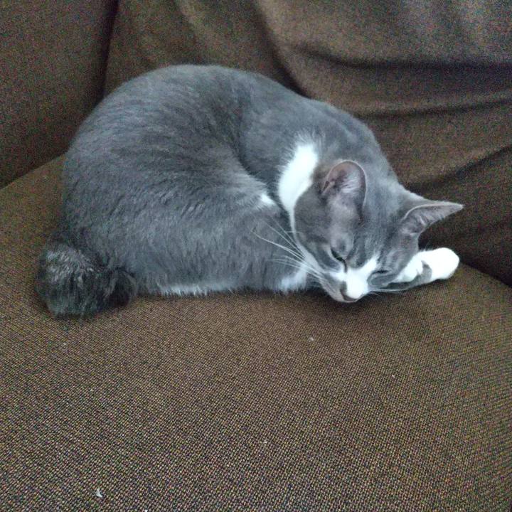 C28b46ca 4cc0 41a0 abd0 8972678dd915 1619403493920