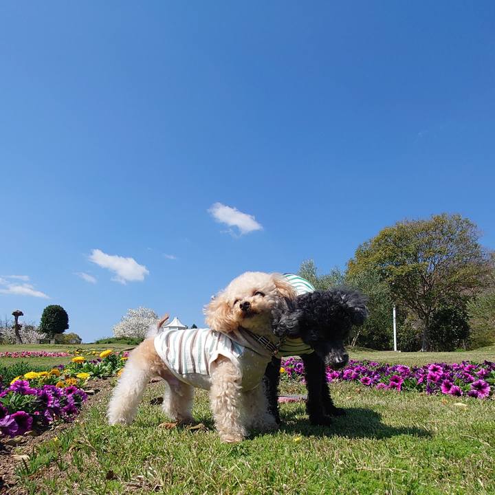 C28b47d0 26f0 4740 9828 3fc4ba507197 1775638875168